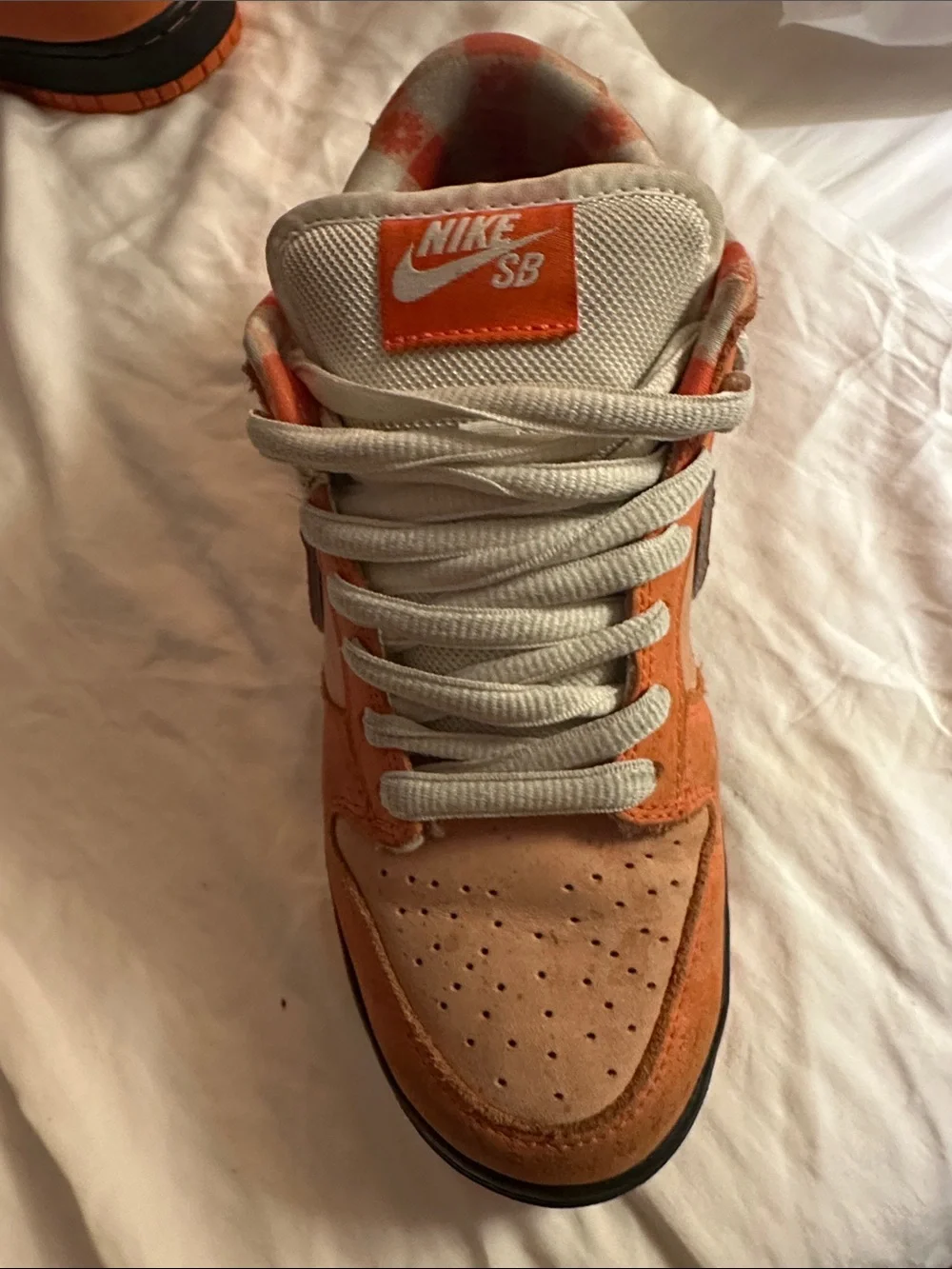 Nike SB Dunk Low Orange lobsters Low-Top Sneakers - Picture 12 of 16